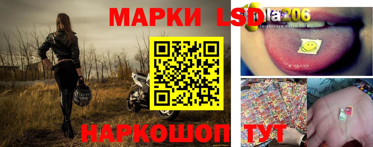 где купить наркоту  Вход с VPN  Лыткарино  Марки 25I-NBOMe 1,5мг 