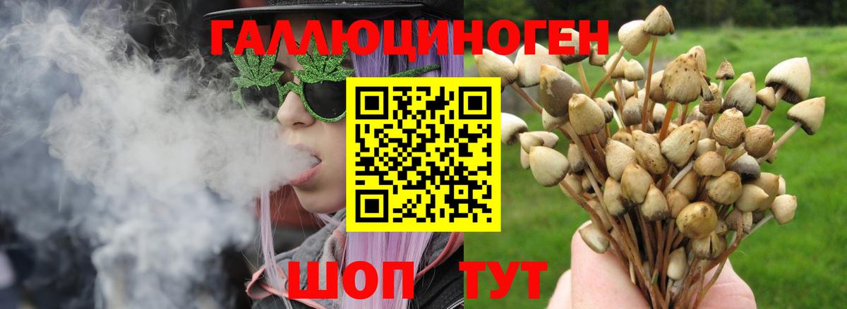 Псилоцибиновые грибы Psilocybine cubensis  Вход с VPN  Псилоцибиновые грибы Psilocybine cubensis  Лыткарино 